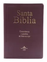  Biblia Reina Valera 1960 Letra Gigante 14pt Vinil Colores