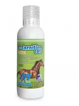 L  Carnitina 10% - Suspensión Oral 1 Lt ( Equinos)