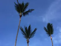 Terrenos Con Frente De Playa En Uvero Alto, Punta Cana 