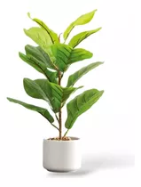 Planta Decorativa Artificial Deco Pandurata Betterware