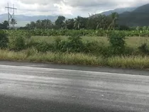 Vendo Terreno Carretera Sánchez Azua Bani