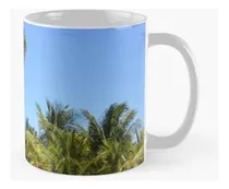 Taza Palm Tree Mexican Beach Calidad Premium