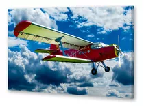 Cuadro 60x90cm Avion Cielo Aeronave Aerolinea Viajes P5