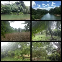 Vendo O Cambio Lote . Isla Grande / Horquetas / Puerto Viejo