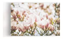 Quadros Canvas Flores Coloridas Fotografia 60x40cm