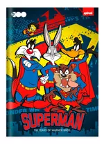 Caderno Capa Dura Costurado 80 Folhas Warner Bros Superman