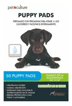 Alfombra Sanitaria Para Perros Puppy Pads 60x60 X 50unidades