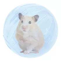 Bola Para Hamster Roedores Ball Savana Pet Cor Transparente