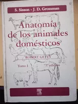 Anatomía De Los Animales Domésticos. S. Sisson 5 Edicion 2 