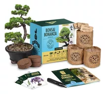 Kit De Bonsái Triple Cultiva 3 Mini Árboles Bonsái Incluye