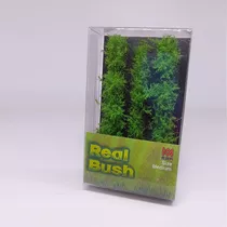 Pasto Estatico Real Bush Medium Rb 03 Spring Garden