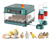 Incubadora Para Huevos Yunjas L16 18.5m X 33m 110v 60w Color Verde