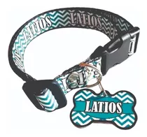 Placas En Acero Más Collar 100% Personalizados Para Mascotas