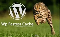 Wp Fastest Cache Premium 1.6 + Atualizações Vitalícias 