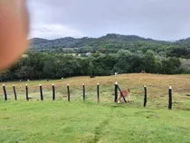 Viendo 1500 Tareas En Rancho Arriba Ocoa Richvend