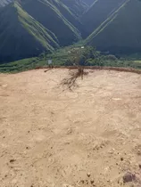 Vendo En Vilcabamba Ecuador, Lindo Terreno Montaña Inf. Cero Nueve Noventa Y Uno Dos Ochenta Ocho Ocho Cuatro