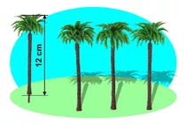 6 Palmeiras H=12,0cm  Coqueiro Escala Maquete Arquitetura Ax