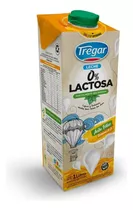 Leche 0% Lactosa X 1 L Tregar