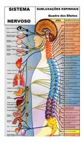 Mapa De Anatomia Quiropraxia Ortopedia Pdf