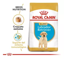 Royal Canin Labrador Junior X 12 Kg - Drovenort -