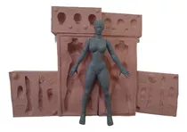 Molde De Silicone Bipartido Corpo Feminino 1/10 Completo.