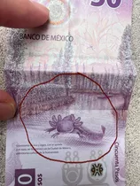Billete De 50 Pesos Mexicanos Con Defecto De Impresión
