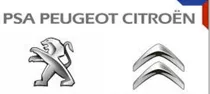 Servicio Especializado Peugeot/citroen 