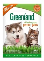 Greenland Hierba Comestible Perros Gatos Semillas Gramíneas 