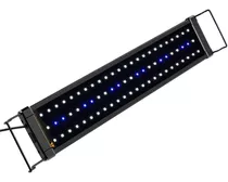 Luz Led Lampara Acuario 50cm Luz Blanca Azul 30 Led