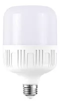 Bombillo Led Tipo Bulbo Luz Blanca E27 Rosca Universal 30w