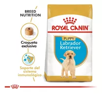 Royal Canin Labrador Retriever Junior 12kg Universal Pets