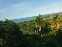 Hermoso Terreno Virgen Para Proyecto Ubicado En Miches