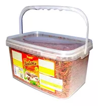 Alimento Erizo De Tierra Atelerix 1 Kg Pethome Chile