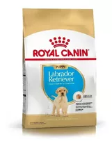 Royal Canin Golden Puppy X 12 Kg Vet Juncal