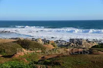 Vista Al Mar En  Isla Negra.