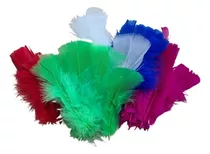 Plumas De Gallo Grandes 50pcs