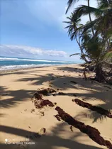 Vendo Terreno En Miche Playa Costa Esmeralda 2,800,000 Mt2.