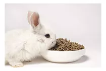 Alimento De Conejo 5 Kilos Granel