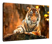 Cuadro Tigres Varios Modelos 60x90 (14)