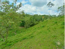 Se Vende Finca De Oportunidad En San Carlos