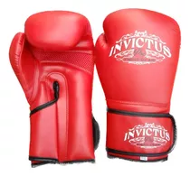 Guantes Boxeo, Kick Boxing, Artes Marciales 10 12 14 Y 16 Oz