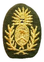 Escudo Para Boina Ejército Argentino Verde Rojo Negro 