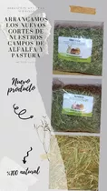 Heno De Alfalfa 4kg