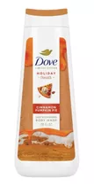 Cinnamon Pumpkin Pie Dove Holiday Treats Gel Debaño Navideño