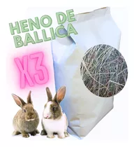 Heno De Ballica, Pack 3 Bolsas 600 Gr, Conejos, Cuy