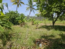 Solar De 2516 M2 En Don Pedro Santiago República Dominicana