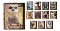 Cuaderno Universitario Buin Zoo 100h 7mm Pack 10 Uni. Colon