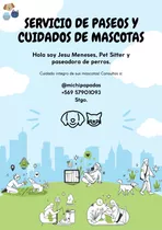 Pet Sitter, Paseo Y Cuidado De Mascotas.