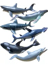 Animales Marinos Tiburón Martillo Ballena Jorobada Orca 24cm