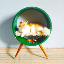 Casa Cama Para Gato Con Corderito Y Patas Precio Cu